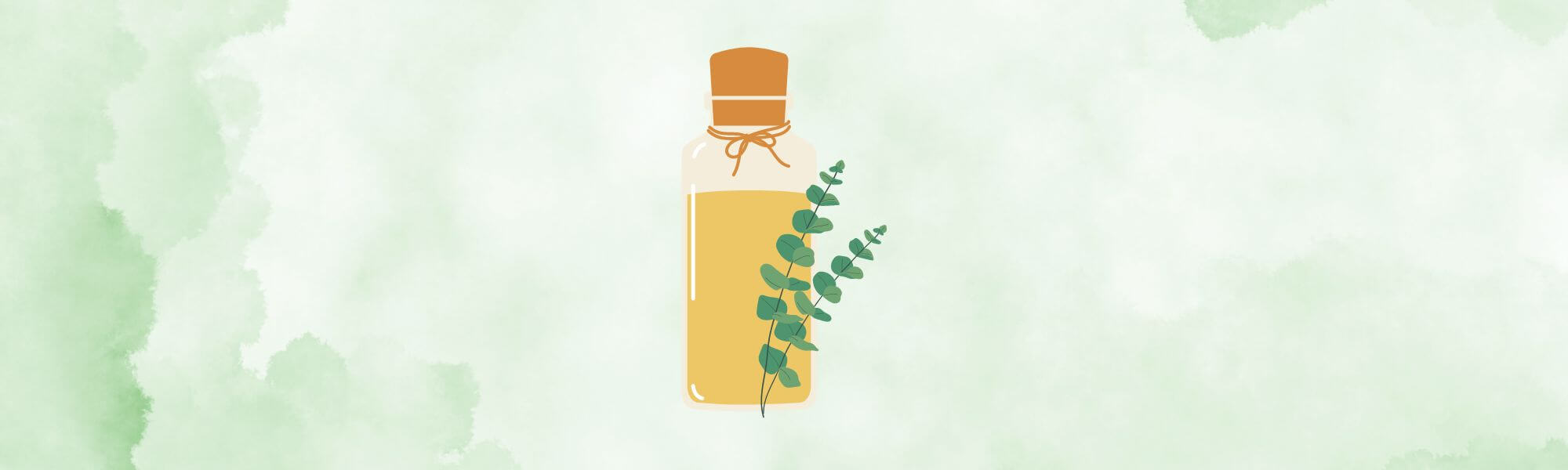 Eucalyptus Oil Essential Oil