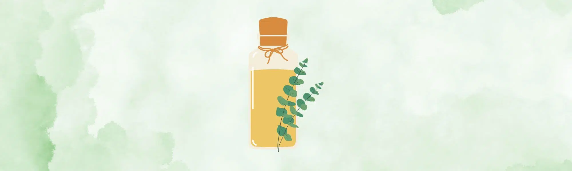 Eucalyptus Oil Essential Oil Self Care