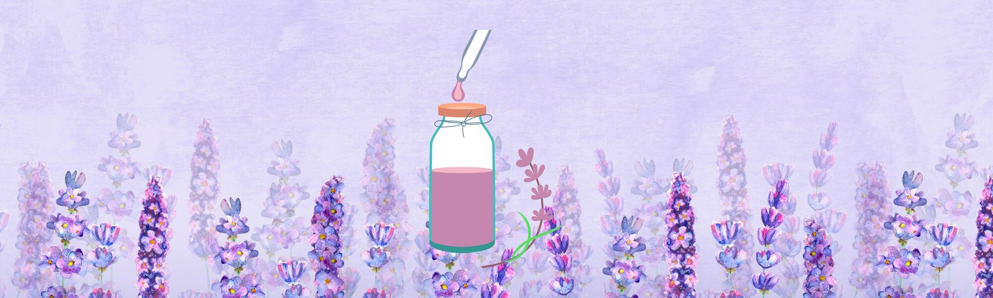 Lavender Essential Oil Blog