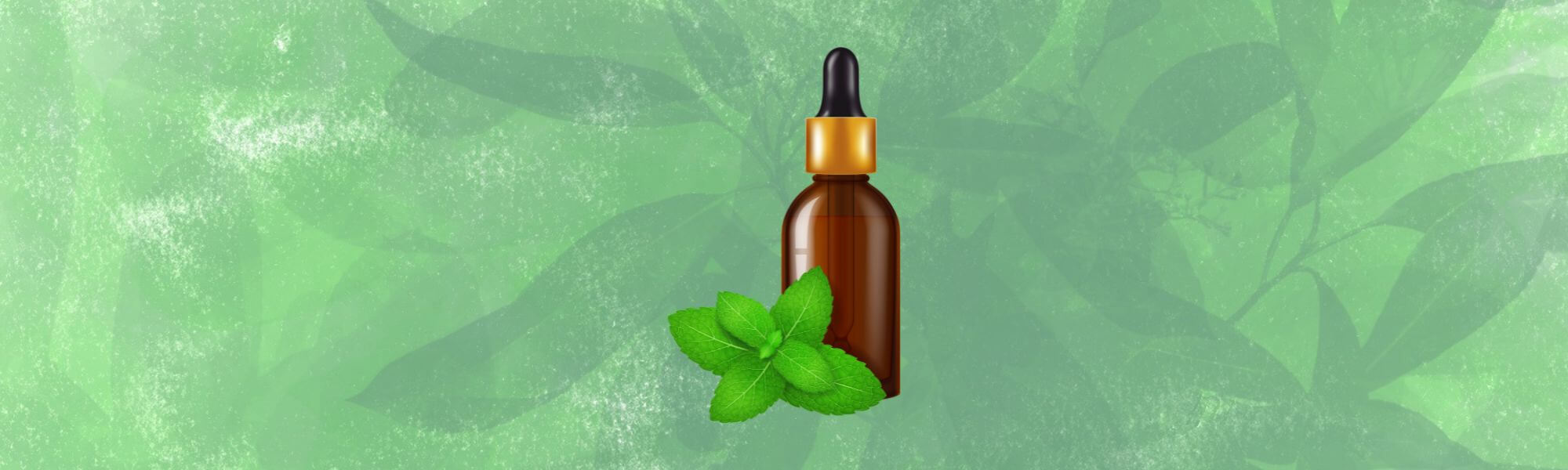 Peppermint Oil Essential Oil