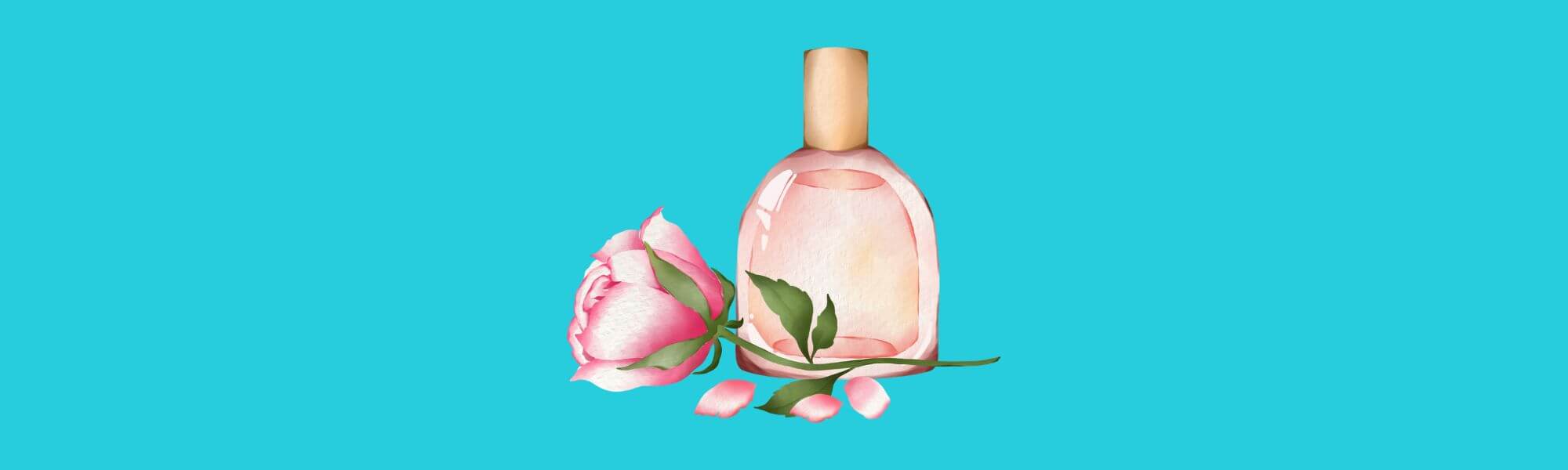 rose oil essential oil blog